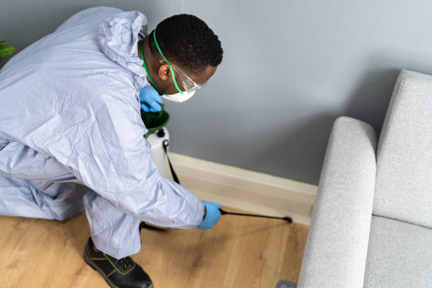 Best Pest Exclusion Services  in Kensington, CA